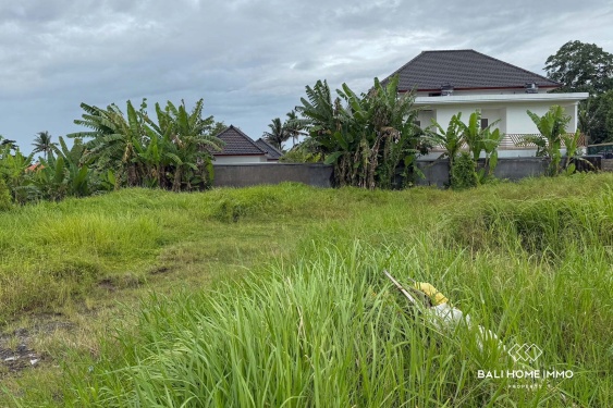 Image 3 from Lahan Zona Pariwisata Dijual di Singakerta Ubud Bali