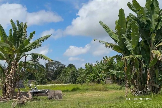 Image 4 from Lahan Zona Pariwisata Dijual di Singakerta Ubud Bali