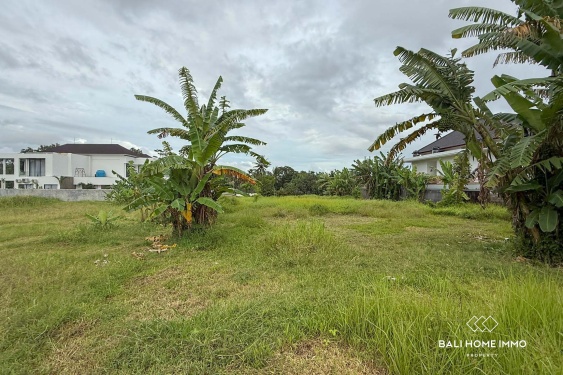 Image 2 from Lahan Zona Pariwisata Dijual di Singakerta Ubud Bali