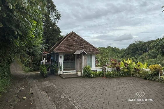 Image 7 from Lahan Zona Pariwisata Dijual di Singakerta Ubud Bali