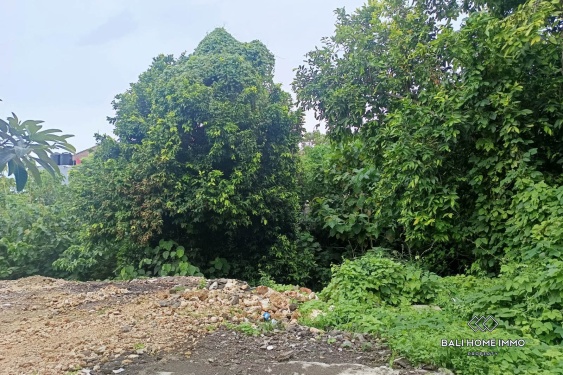 Image 6 from Terrains à vocation touristique en pleine propriété à vendre à Bingin