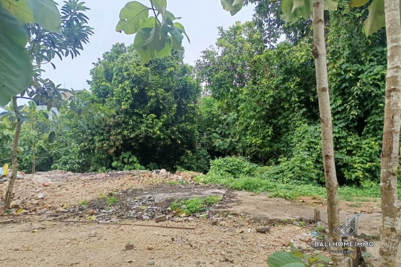 Image 4 from Terrains à vocation touristique en pleine propriété à vendre à Bingin