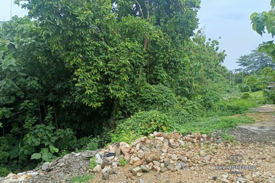 Image 3 from Terrains à vocation touristique en pleine propriété à vendre à Bingin