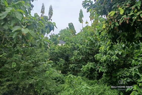 Image 2 from Terrains à vocation touristique en pleine propriété à vendre à Bingin