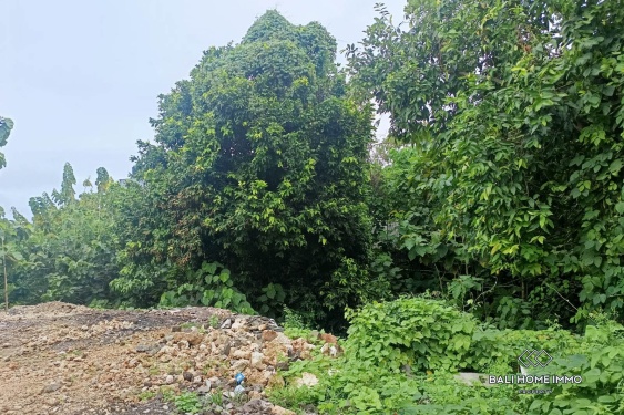 Image 5 from Terrains à vocation touristique en pleine propriété à vendre à Bingin