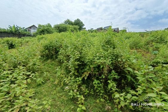 Image 7 from Rare Small Plot Touristic Zoning Land for Sale Freehold and Leasehold in Bingin