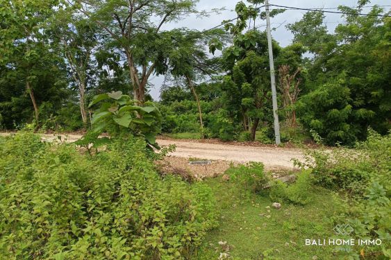 Image 5 from Rare Small Plot Touristic Zoning Land for Sale Freehold and Leasehold in Bingin