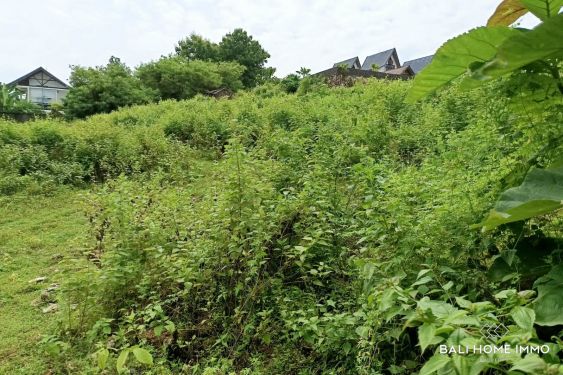 Image 9 from Rare Small Plot Touristic Zoning Land for Sale Freehold and Leasehold in Bingin