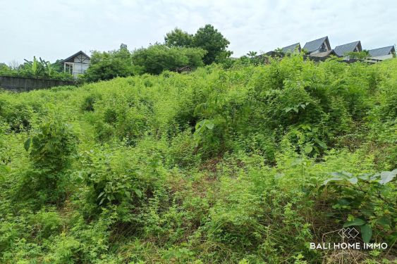 Image 8 from Rare Small Plot Touristic Zoning Land for Sale Freehold and Leasehold in Bingin