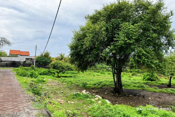 Image 4 from TERRAIN EN BORD DE RUE À VENDRE EN PLEINE PROPRIÉTÉ À BALI PRÈS DE LA PLAGE DE PANDAWA