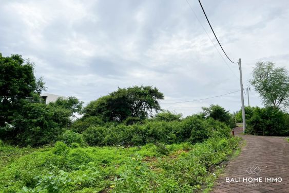 Image 5 from TERRAIN EN BORD DE RUE À VENDRE EN PLEINE PROPRIÉTÉ À BALI PRÈS DE LA PLAGE DE PANDAWA