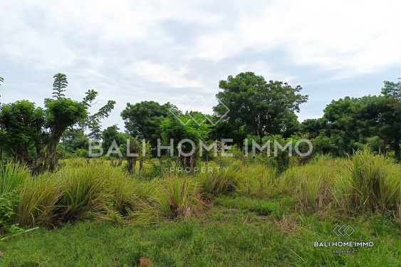 Image 2 from Touristic Zoning Land for Sale Leasehold in Balangan