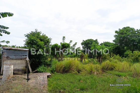 Image 3 from Touristic Zoning Land for Sale Leasehold in Balangan