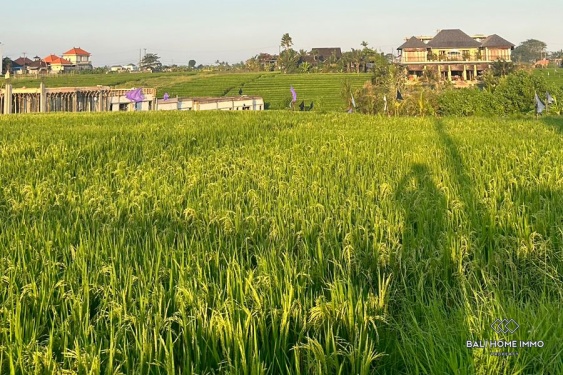 Image 2 from Touristic zoning land for sale leasehold in Bali Cemagi