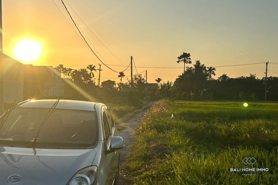 Image 5 from Touristic zoning land for sale leasehold in Bali Cemagi