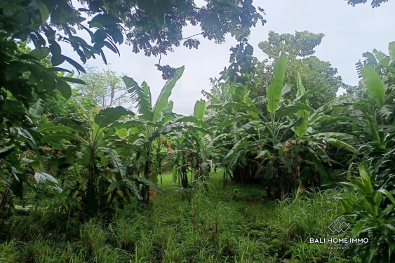 Image 2 from Touristic Zoning Land for Sale Leasehold in Ungasan