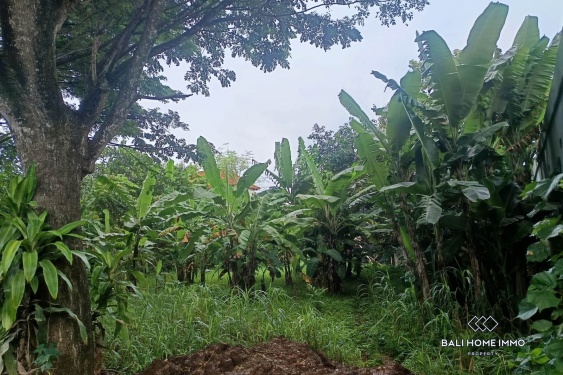 Image 3 from Touristic Zoning Land for Sale Leasehold in Ungasan