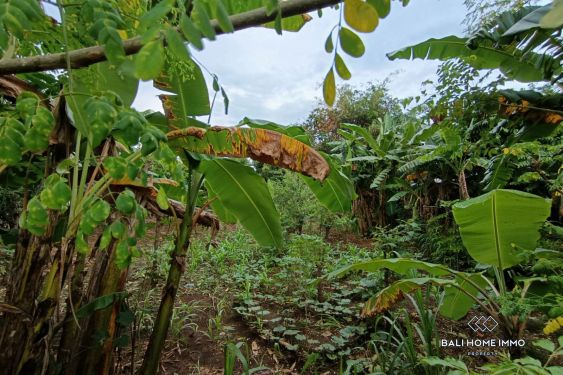 Image 4 from Dijual Lahan Zonasi Pariwisata Hak Sewa di Kawasan Utama Bingin