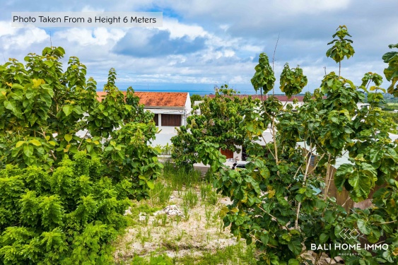 Image 4 from Terrain à vocation touristique à vendre avec vue imprenable sur l'océan à Bingin
