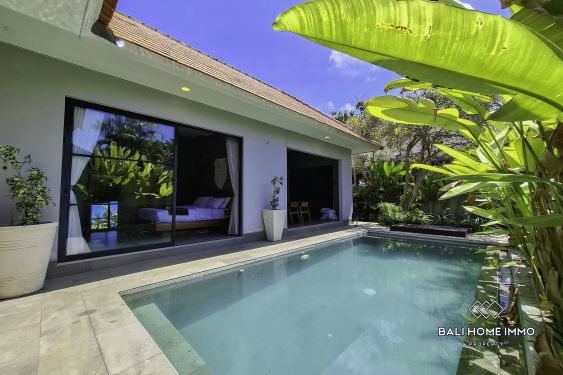 Image 3 from Tropical 2 Bedroom Villa for Sale in Ungasan – Cozy Living Near Bali’s Best Beaches