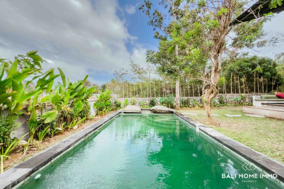 Image 3 from TROPICAL 2 BEDROOMS VILLA FOR SALE & RENT IN ULUWATU - NYANG NYANG
