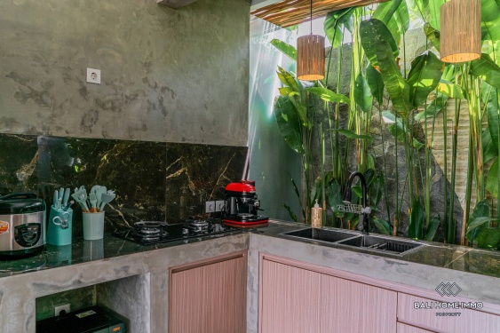 Image 8 from Villa tropicale moderne de 2 chambres à vendre et à louer à Bali Canggu près de Kerobokan