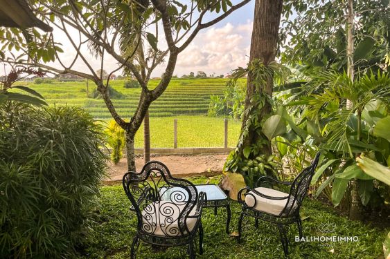 Image 9 from 1 Bedroom Guest House with Ricefield View for rent in North Canggu Bali