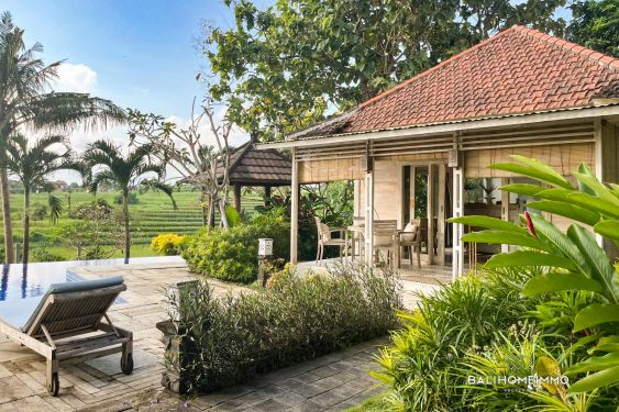 Image 2 from 1 Bedroom Joglo Villa with Ricefield View for rent in North Canggu Bali