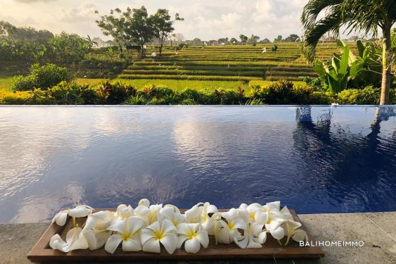 Image 7 from 2 Bedroom Joglo Villa with Ricefield View for rent in North Canggu Bali