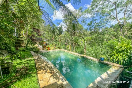 Image 2 from Villa 5 Bedroom for Sale Freehold in Bali Ubud