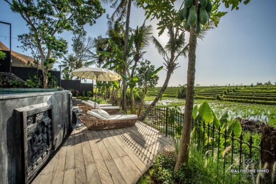 Image 8 from 3 Villas with Panoramic Ricefield View for Sale Leasehold in Babakan Canggu Bali