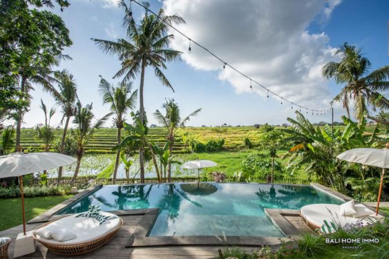Image 5 from 3 Villas with Panoramic Ricefield View for Sale Leasehold in Babakan Canggu Bali