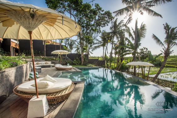 Image 6 from 3 Villas with Panoramic Ricefield View for Sale Leasehold in Babakan Canggu Bali