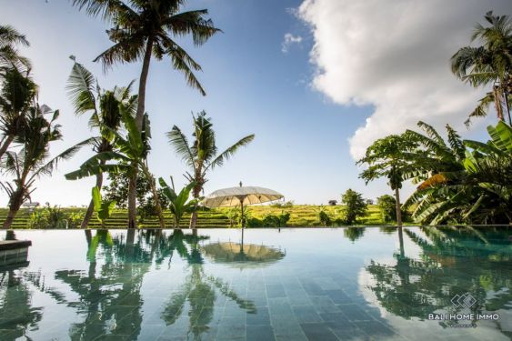 Image 7 from 3 Villas with Panoramic Ricefield View for Sale Leasehold in Babakan Canggu Bali