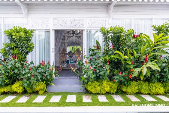 Image 2 from Villa bien conçue de 6 chambres à vendre et à louer à Bali Pererenan