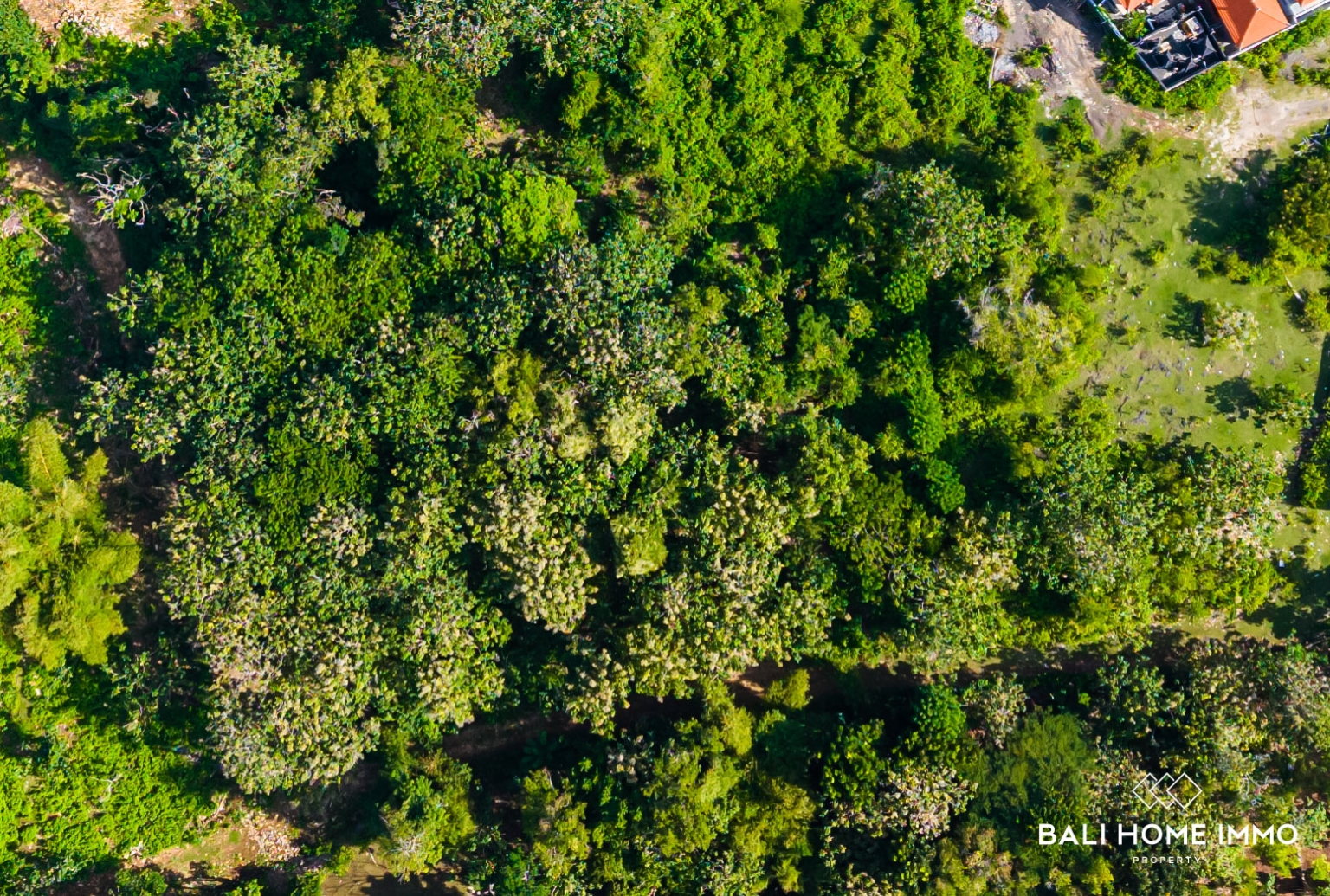 Touristic Land for Sale with Jungle View in Uluwatu view 3