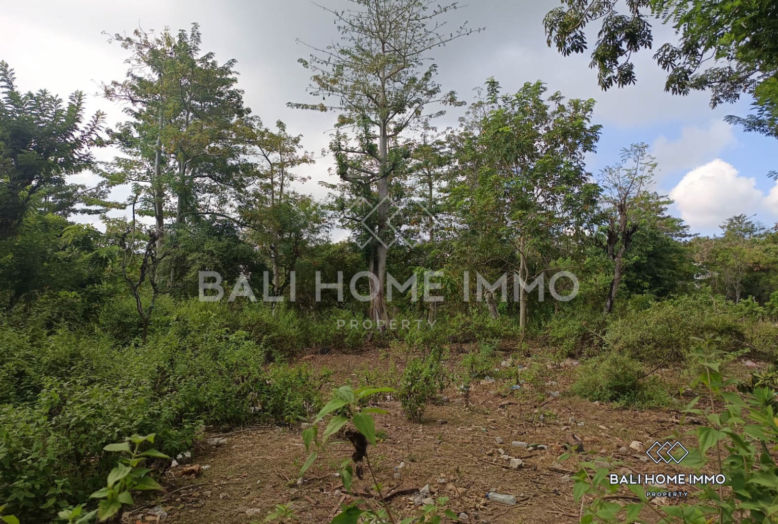 Touristic Street-Front Land for Sale Leasehold in Balangan view 4