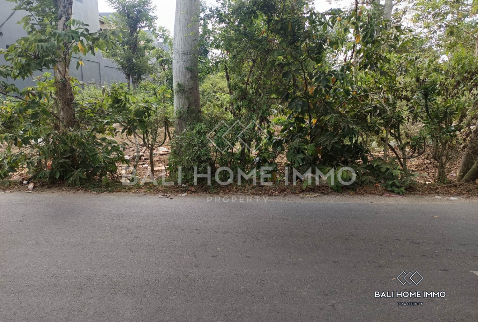 Touristic Street-Front Land for Sale Leasehold in Balangan view 2