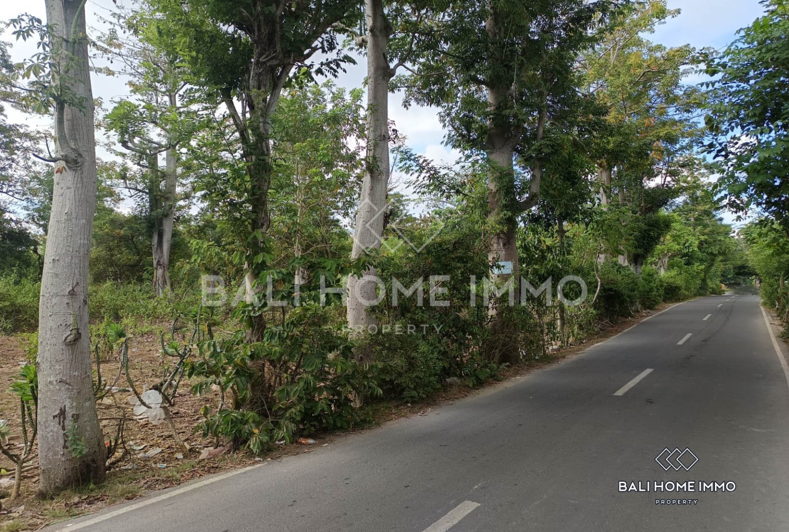 Touristic Street-Front Land for Sale Leasehold in Balangan view 3