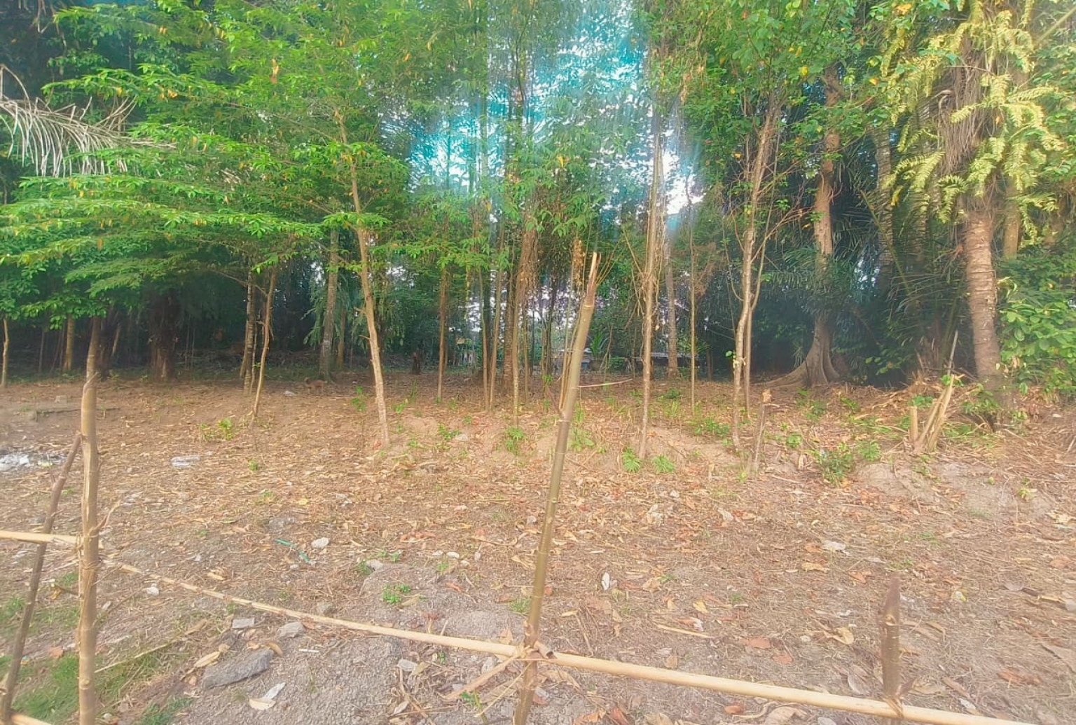 YELLOW ZONE 1330 m² LAND FOR LEASE IN SAYAN UBUD view 4